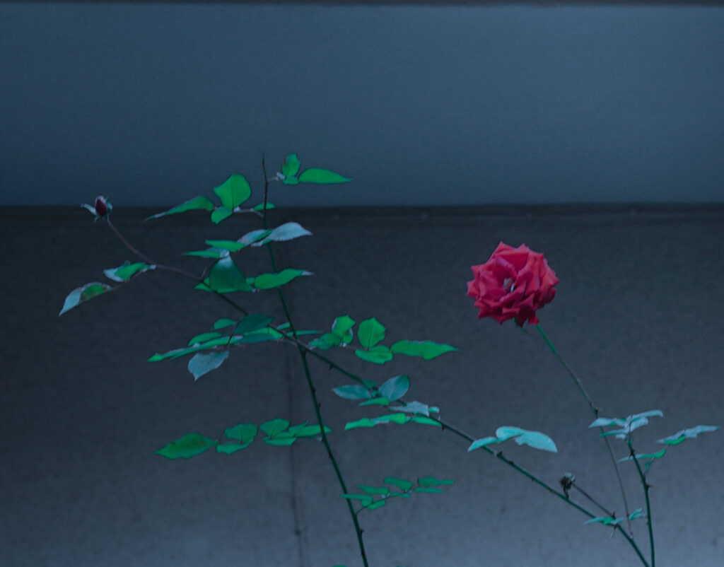 Angeliki Tzafi | θρησκευτικό 15