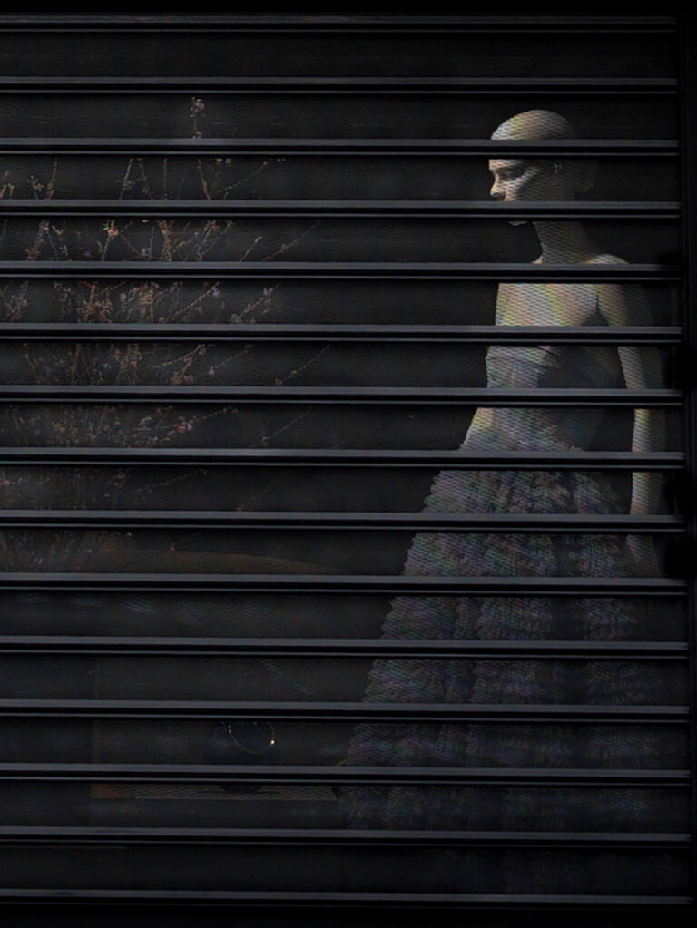 Angeliki Tzafi | πορτραίτο 16