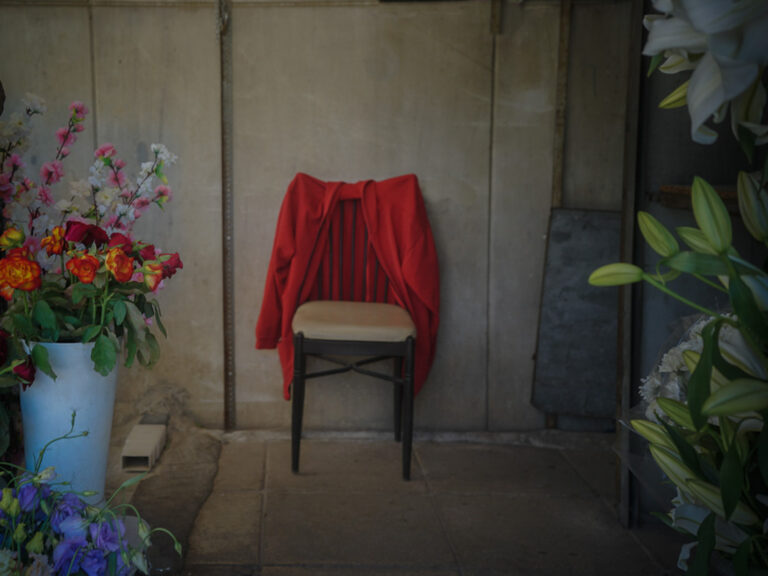 Angeliki Tzafi | πορτραίτο 39