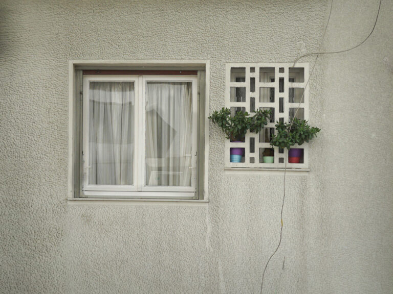 Angeliki Tzafi | πορτραίτο 47