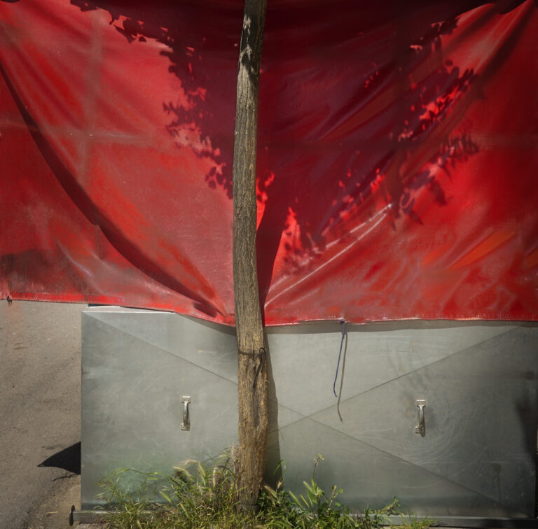 Angeliki Tzafi | πορτραίτο 49