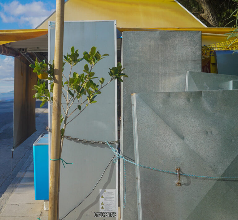 Angeliki Tzafi | πορτραίτο 50