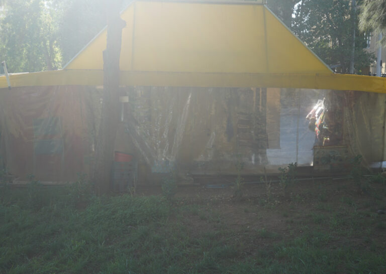 Angeliki Tzafi | πορτραίτο 51