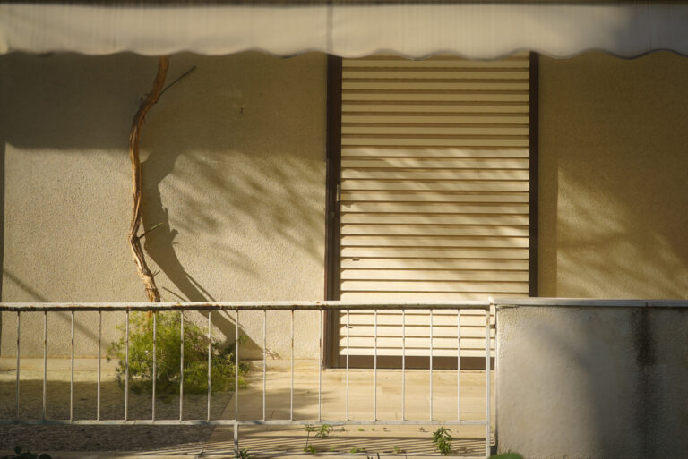 Angeliki Tzafi | πορτραίτο 56