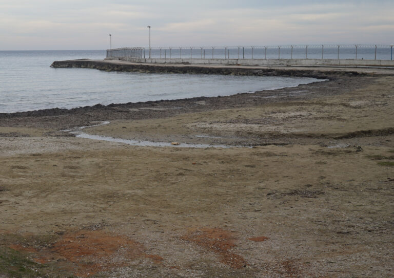 Angeliki Tzafi | πορτραίτο 57