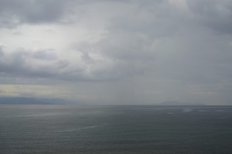 Angeliki Tzafi | πορτραίτο 59